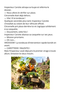 L enigme des coquilles disparues sylvie graf creations p11