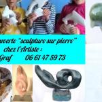 Stage decouverte